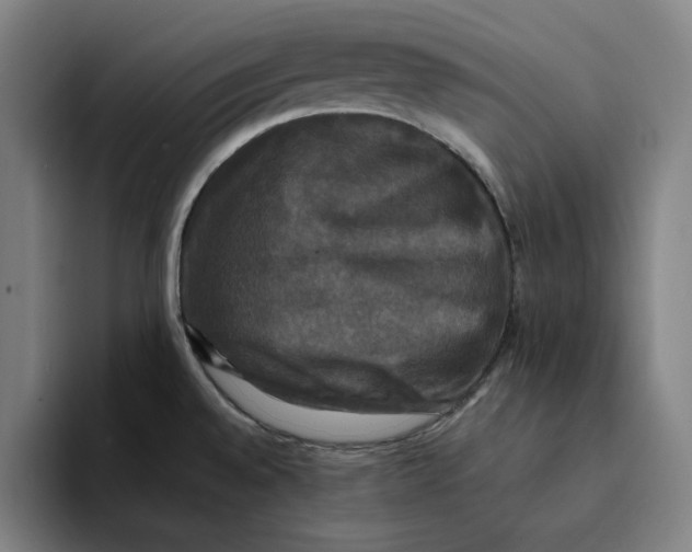 X0000094221528200711161839