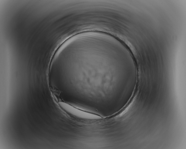 X0000094221529200711161839