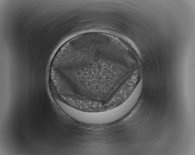 X0000094221530200711161839