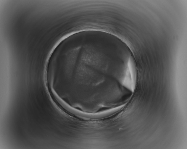 X0000094221531200711161839