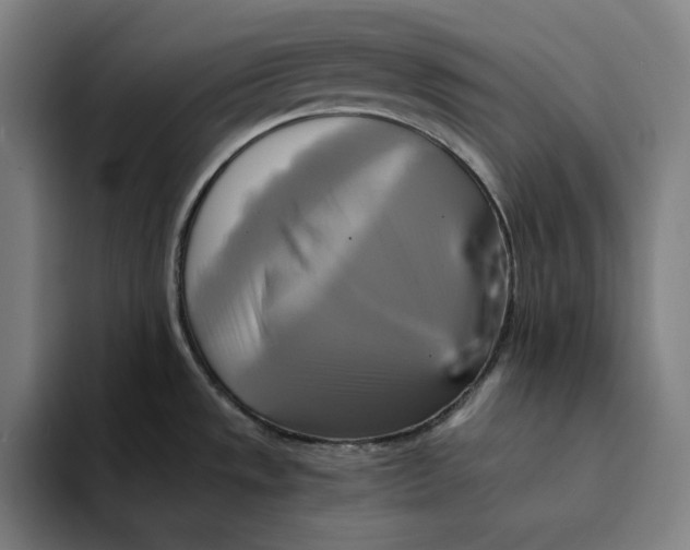 X0000094221533200711161839