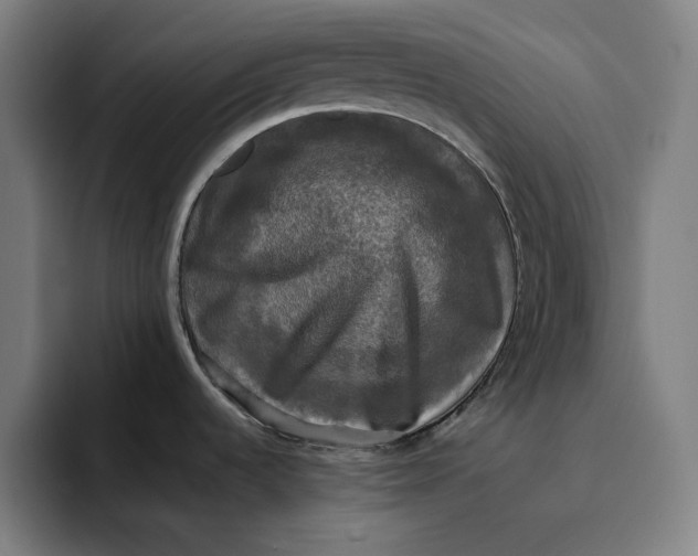 X0000094221536200711161839