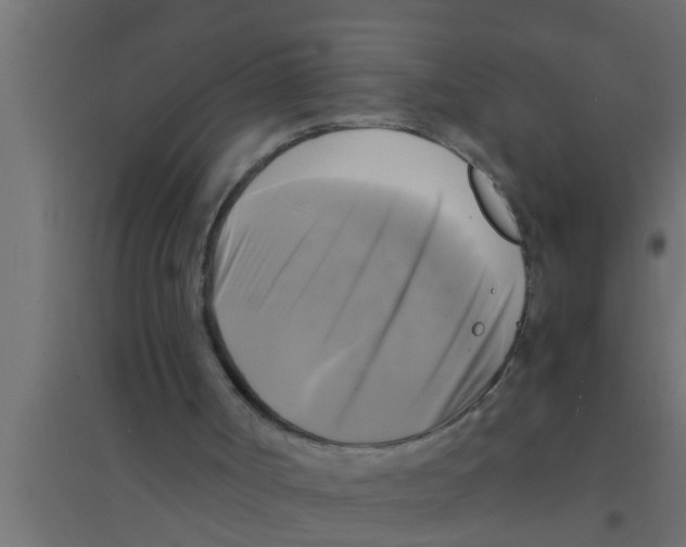 X0000094220002200711241732