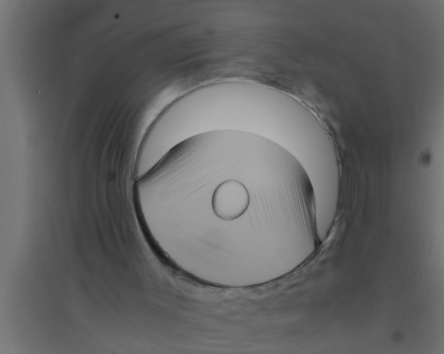 X0000094220003200711241732