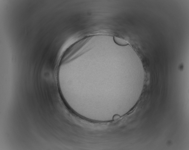 X0000094220004200711241732