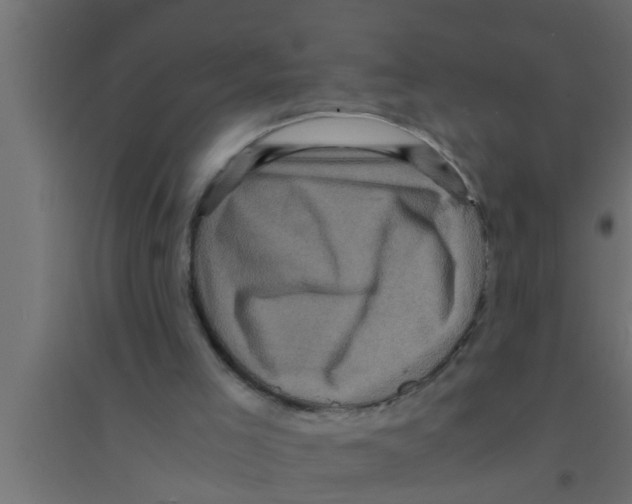 X0000094220005200711241732