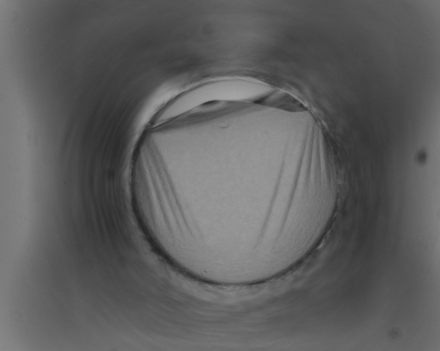 X0000094220006200711241732