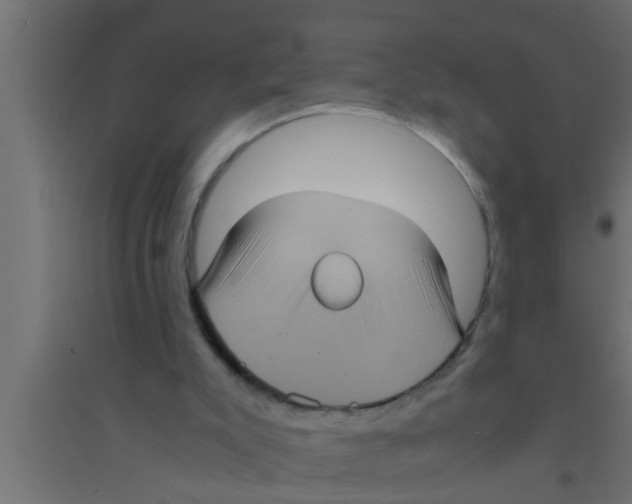 X0000094220007200711241732