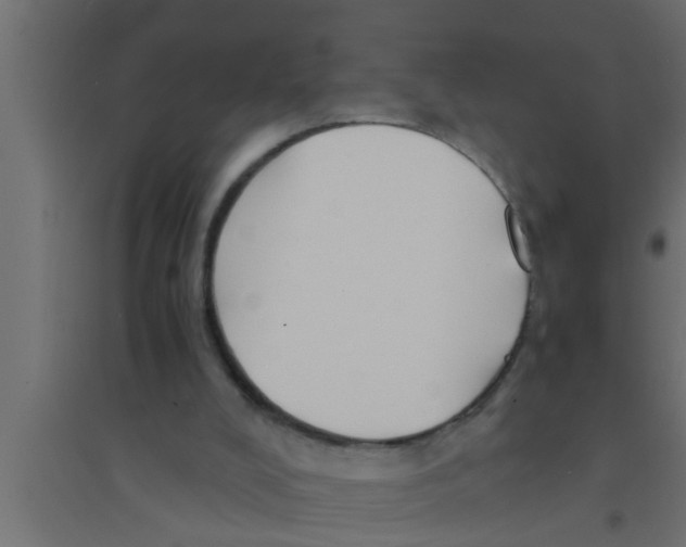X0000094220008200711241732