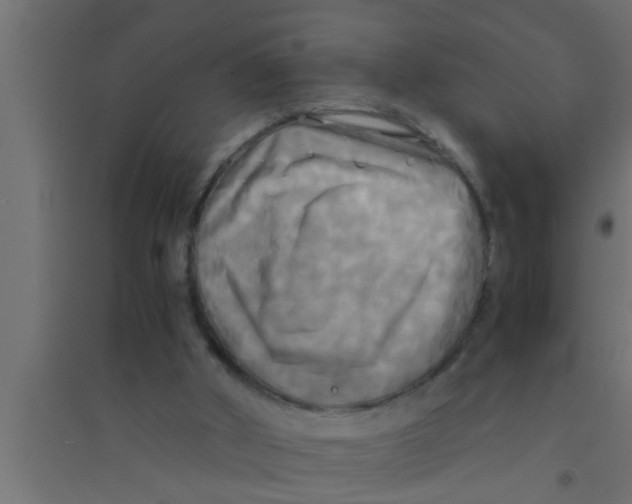 X0000094220010200711241732