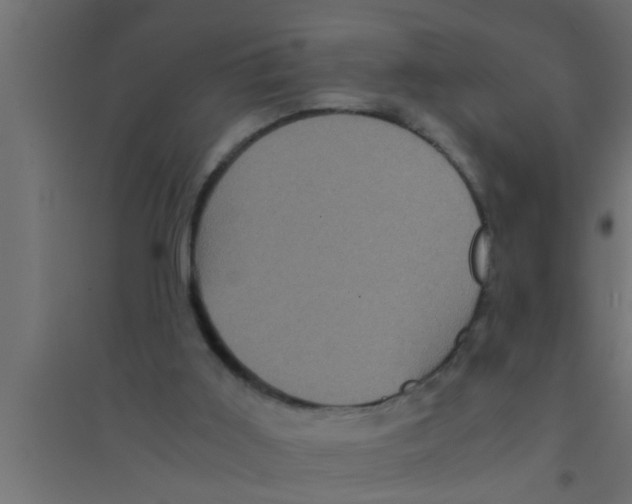 X0000094220011200711241732