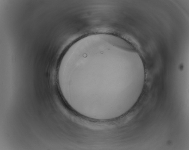 X0000094220012200711241732