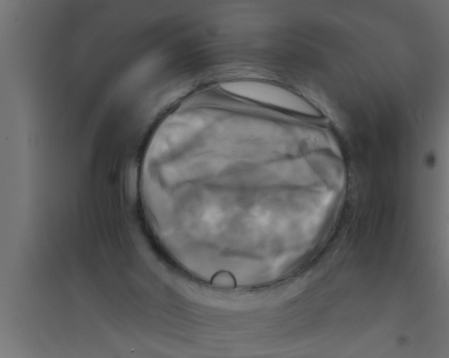 X0000094220014200711241732