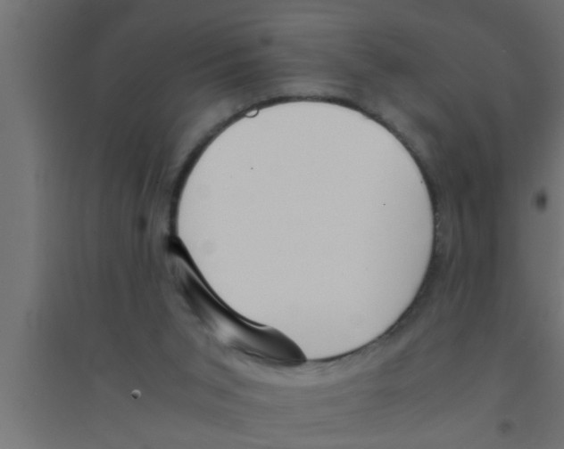 X0000094220015200711241732