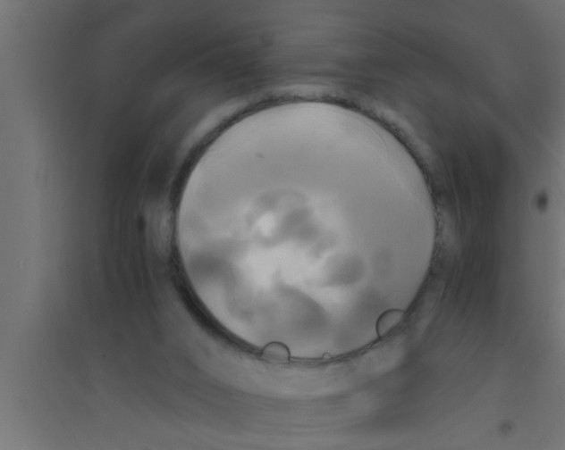 X0000094220016200711241732