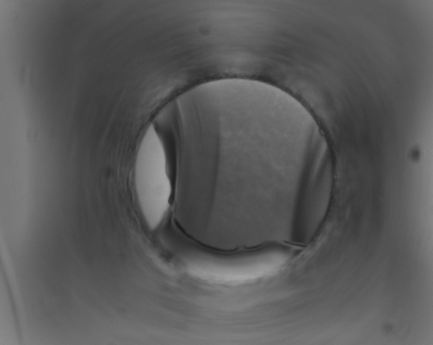 X0000094220017200711241732