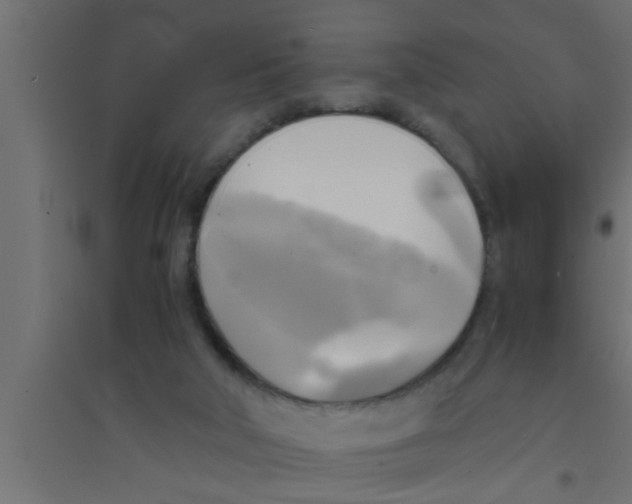 X0000094220018200711241732