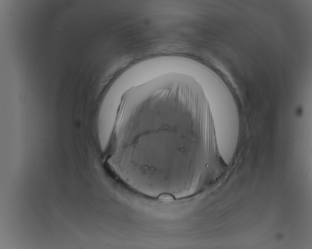 X0000094220019200711241732