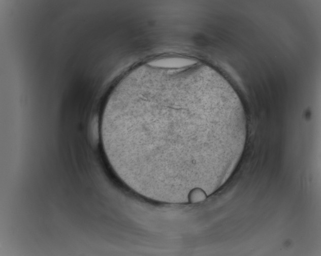 X0000094220020200711241732