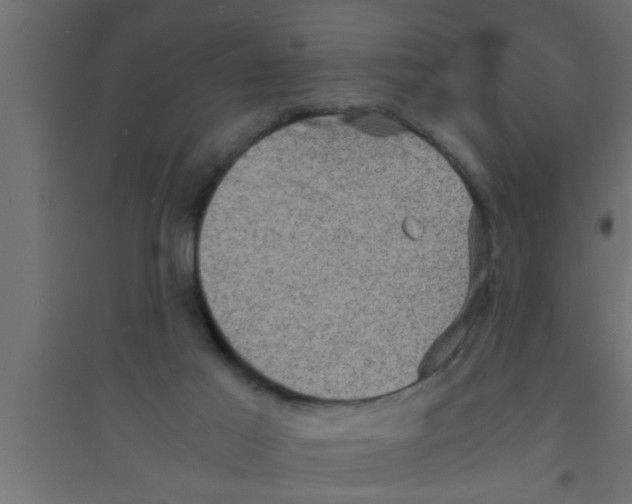 X0000094220021200711241732