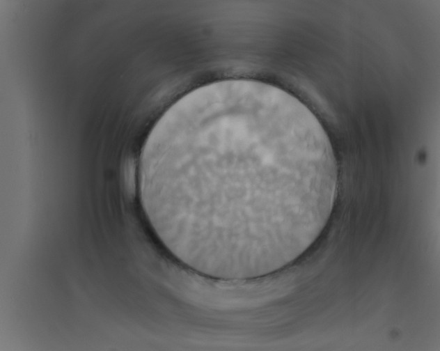 X0000094220022200711241732