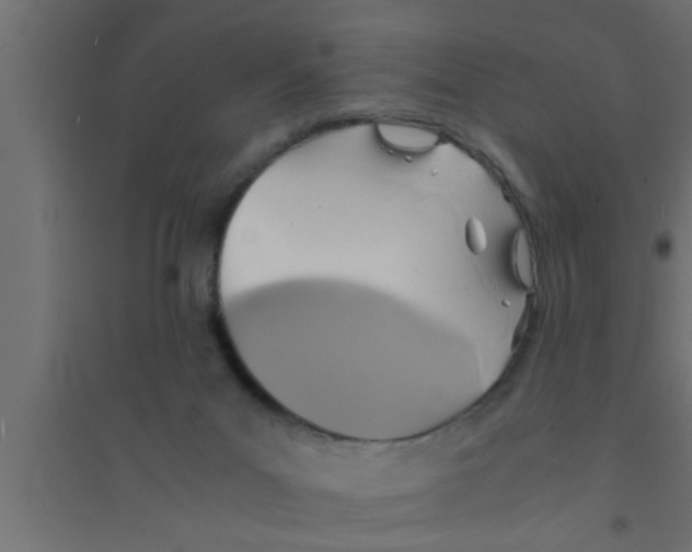 X0000094220023200711241732