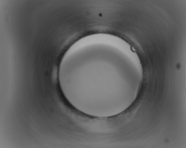 X0000094220024200711241732