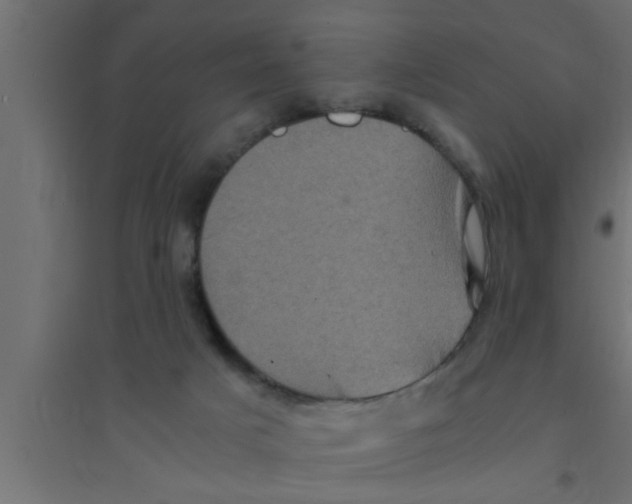 X0000094220025200711241732