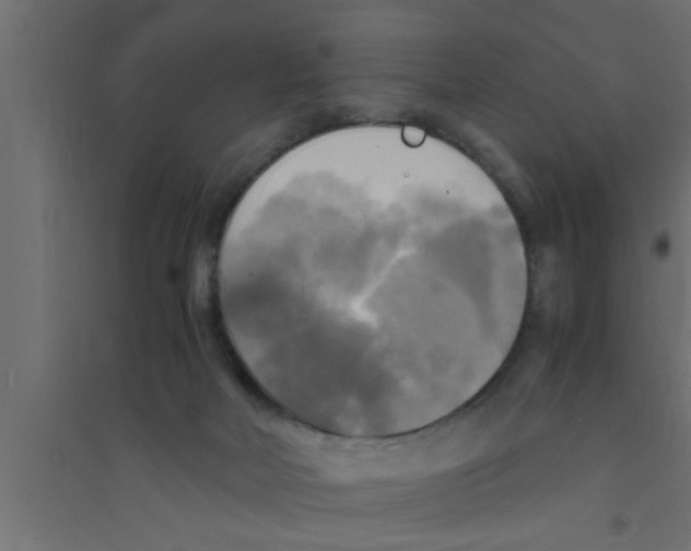 X0000094220026200711241732