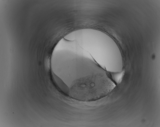 X0000094220027200711241732