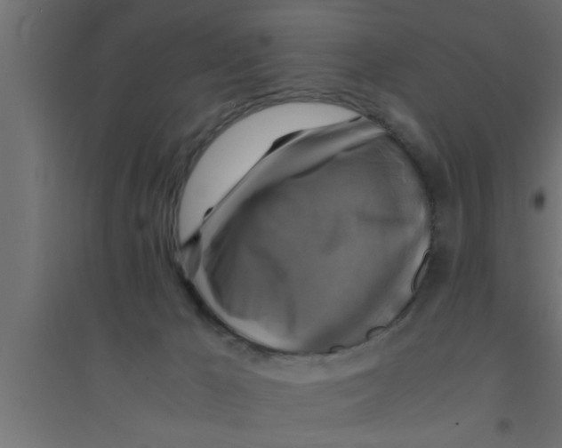 X0000094220029200711241732