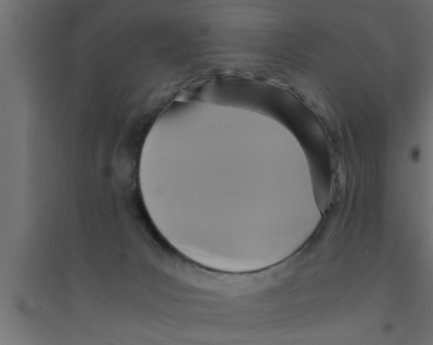 X0000094220031200711241732