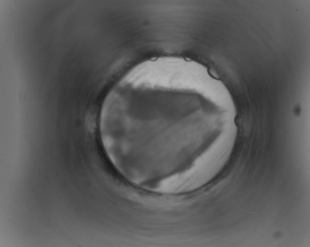 X0000094220032200711241732