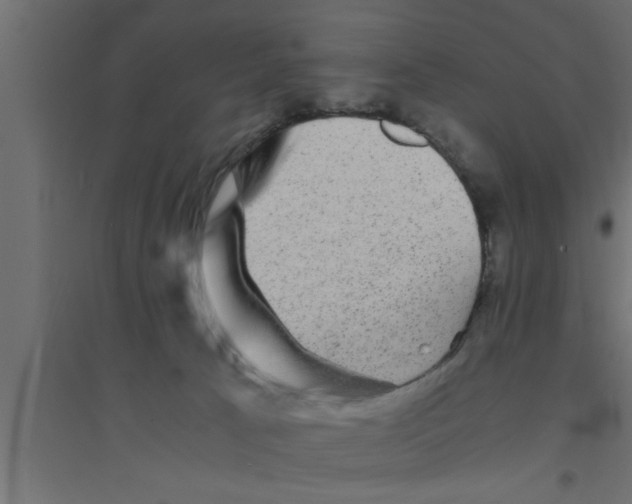 X0000094220033200711241732