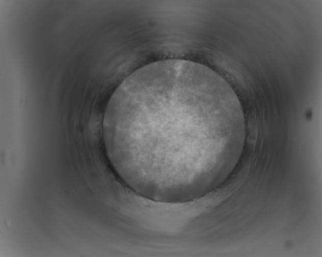 X0000094220034200711241732