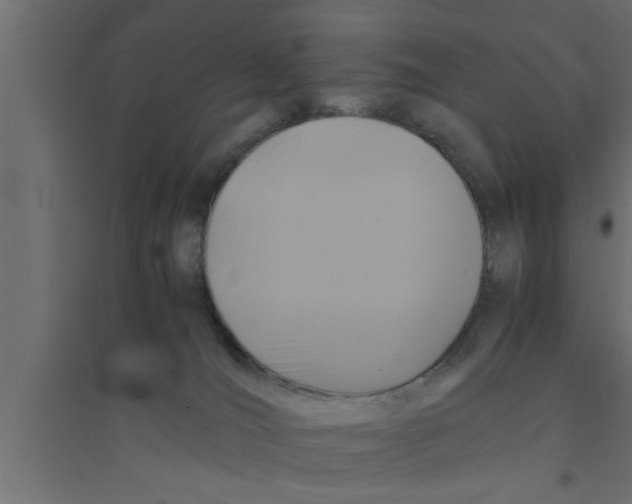 X0000094220036200711241732