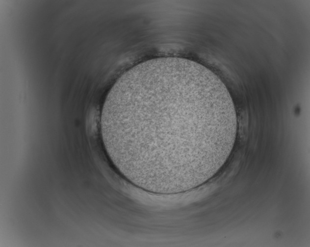 X0000094220038200711241732