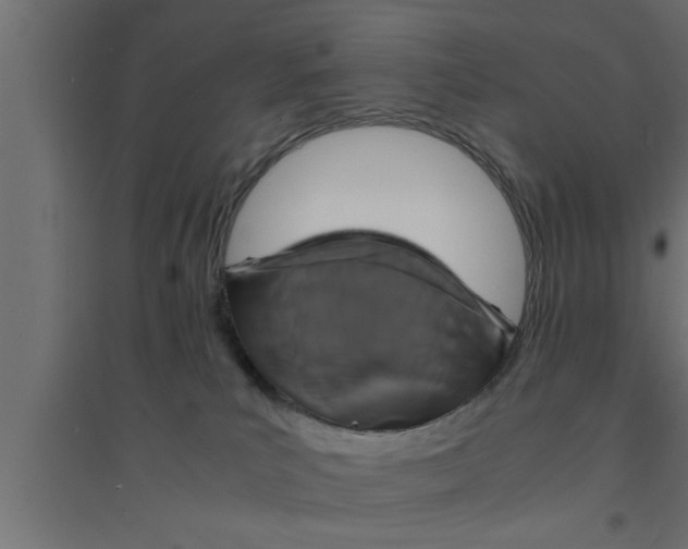 X0000094220039200711241732