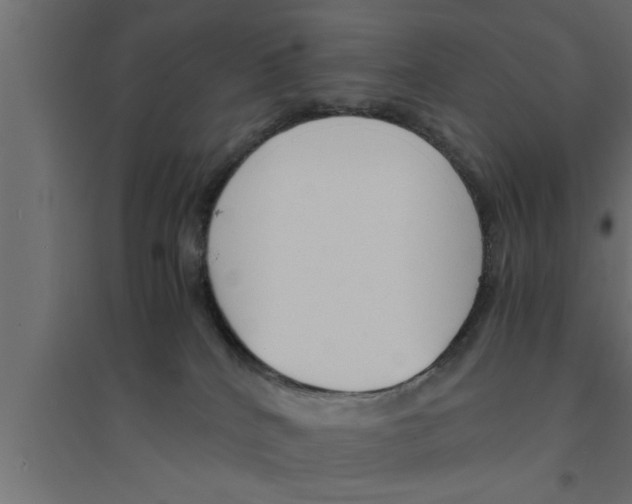 X0000094220040200711241732