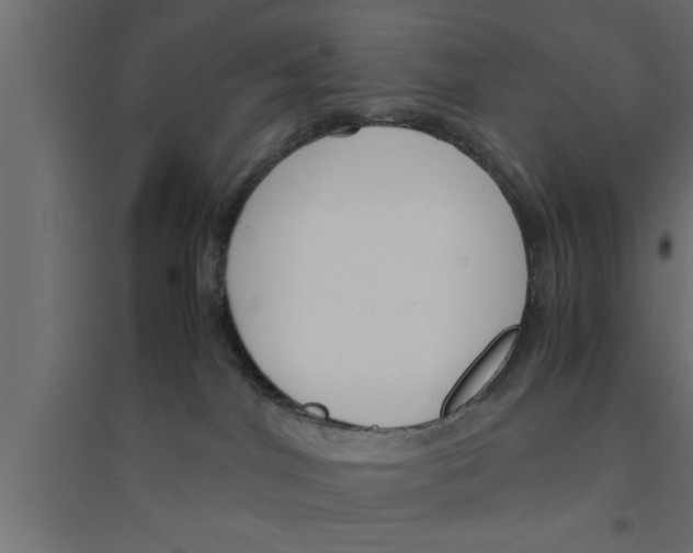 X0000094220044200711241732