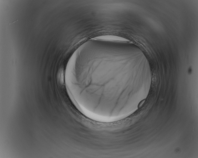 X0000094220046200711241732