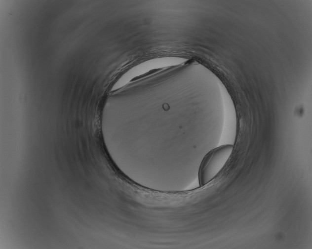 X0000094220048200711241732