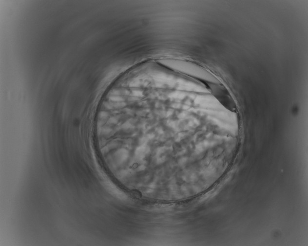 X0000094220049200711241731