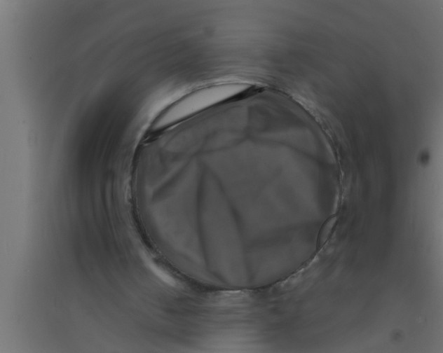 X0000094220050200711241731