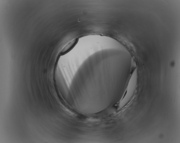X0000094220051200711241731