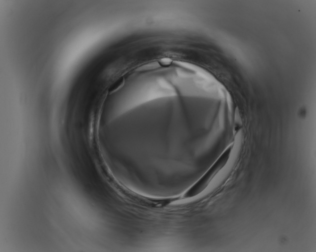 X0000094220052200711241731