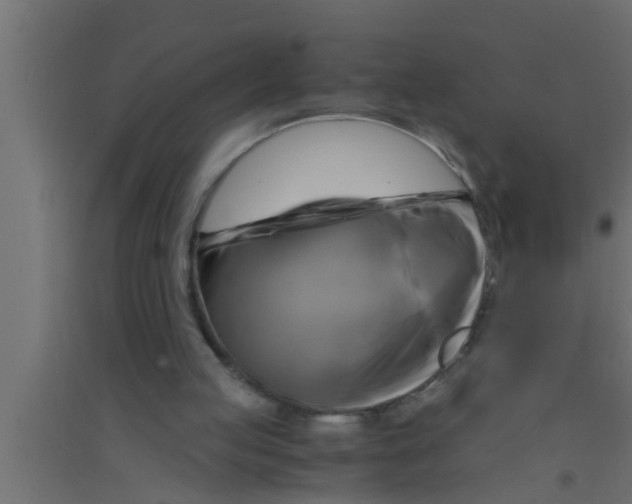 X0000094220053200711241731