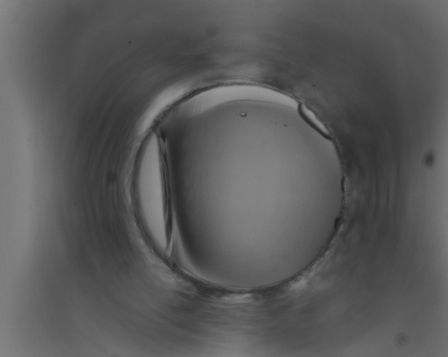 X0000094220054200711241731
