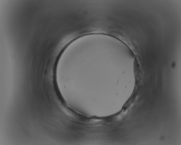 X0000094220055200711241731