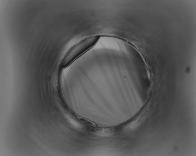 X0000094220056200711241731
